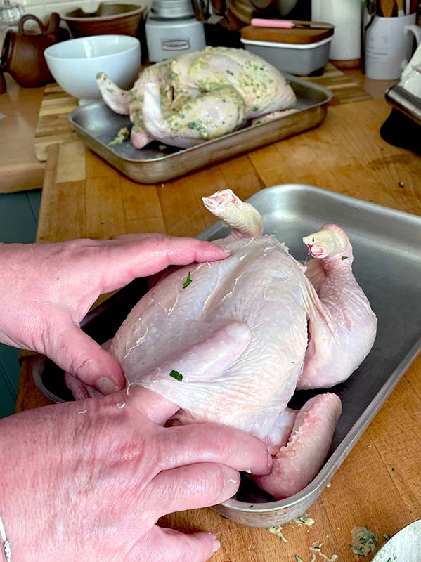 Pushing mustard mixture under the skin of the chicken
