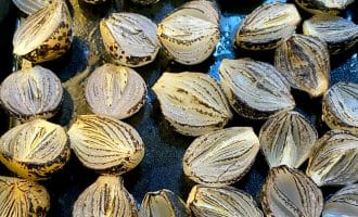 Halved onions with charred, caramelised edges are arranged cut side up on a dark baking tray, showing layers and grill marks from roasting or grilling.