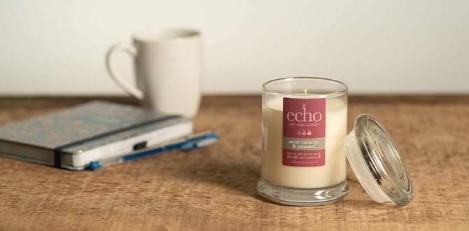 Echo soy wax candles