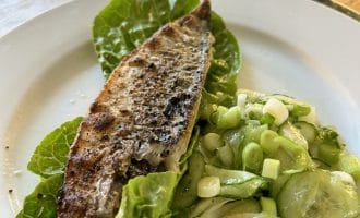 Grilled Mackerel with Cucumber & Ginger Pickle