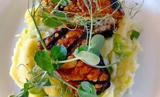 Grilled tempeh served on a bed of mashed potato, garnished with fresh pea shoots and microgreens, presented on a white plate.